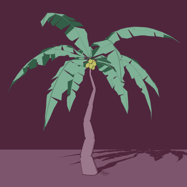 cocotier01