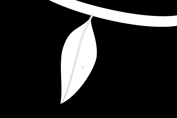 cycle03.gif