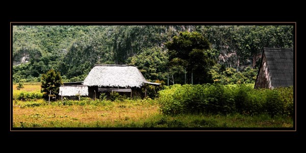 vinales02