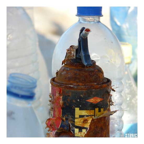 detritus10